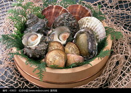 魚蝦176